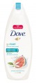 Dove Go Fresh Body Wash, restore, 24 fl. oz.